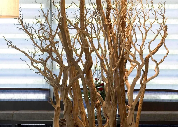 Nh Collection 5* Santiago de Compostela